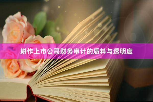 耕作上市公司财务审计的质料与透明度